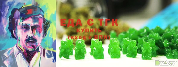 гидра Горняк