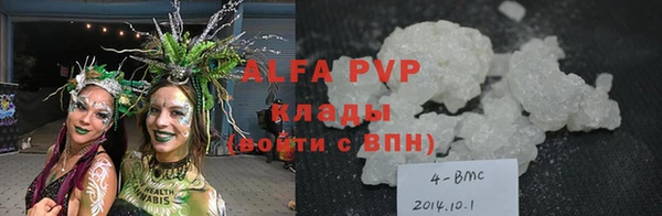 PSILOCYBIN Горнозаводск