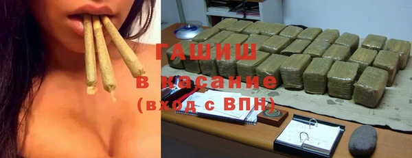 гидра Горняк