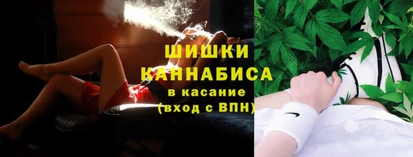PSILOCYBIN Горнозаводск