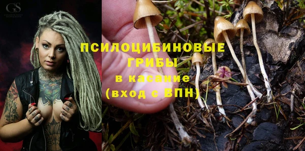 мескалин Горно-Алтайск