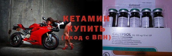 гидра Горняк
