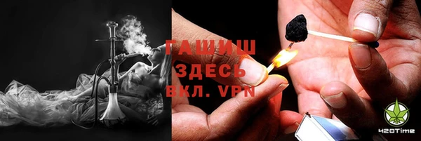 гидра Горняк