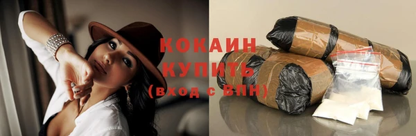 гидра Горняк
