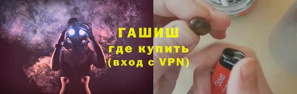 гидра Горняк
