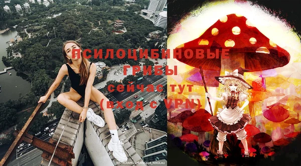PSILOCYBIN Горнозаводск