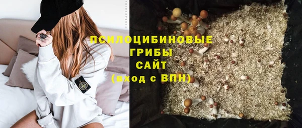PSILOCYBIN Горнозаводск