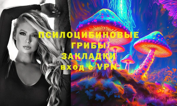 PSILOCYBIN Горнозаводск