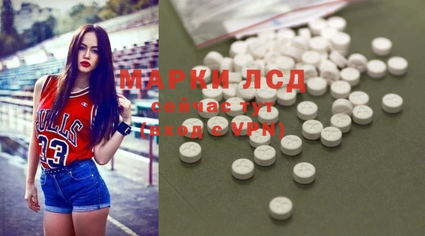 PSILOCYBIN Горнозаводск