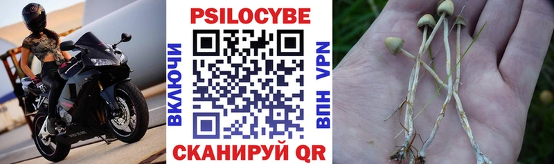 Купить закладки  Тара  Псилоцибиновые грибы GOLDEN TEACHER 